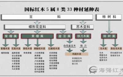 大紅酸枝為什么會叫“老紅木”？